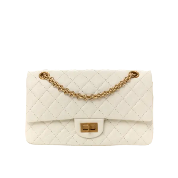 Chanel 2.55 Reissue Flap Bag - 1789741