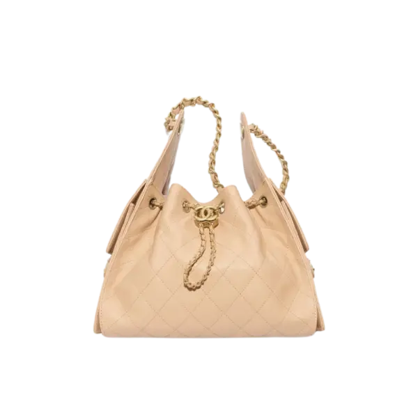 Small Chanel 25 Bag - AS5293B20304N4710