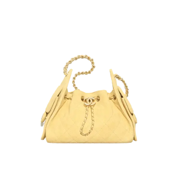 Mini Chanel 25 Bag - AS5631B18799U5321