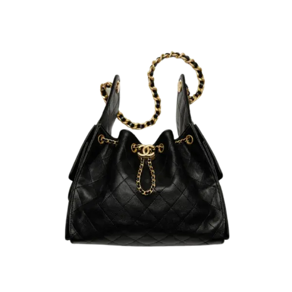 Small Chanel 25 Bag - AS5293B2030494305