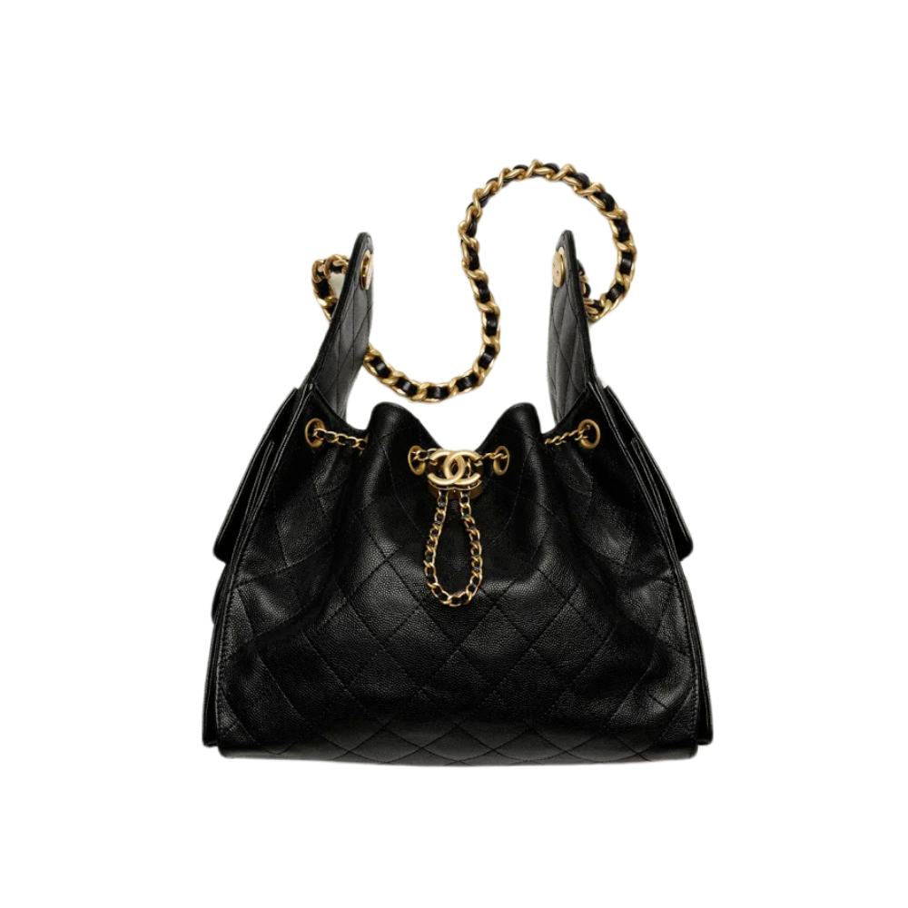 Small Chanel 25 Bag - AS5293B2030494305