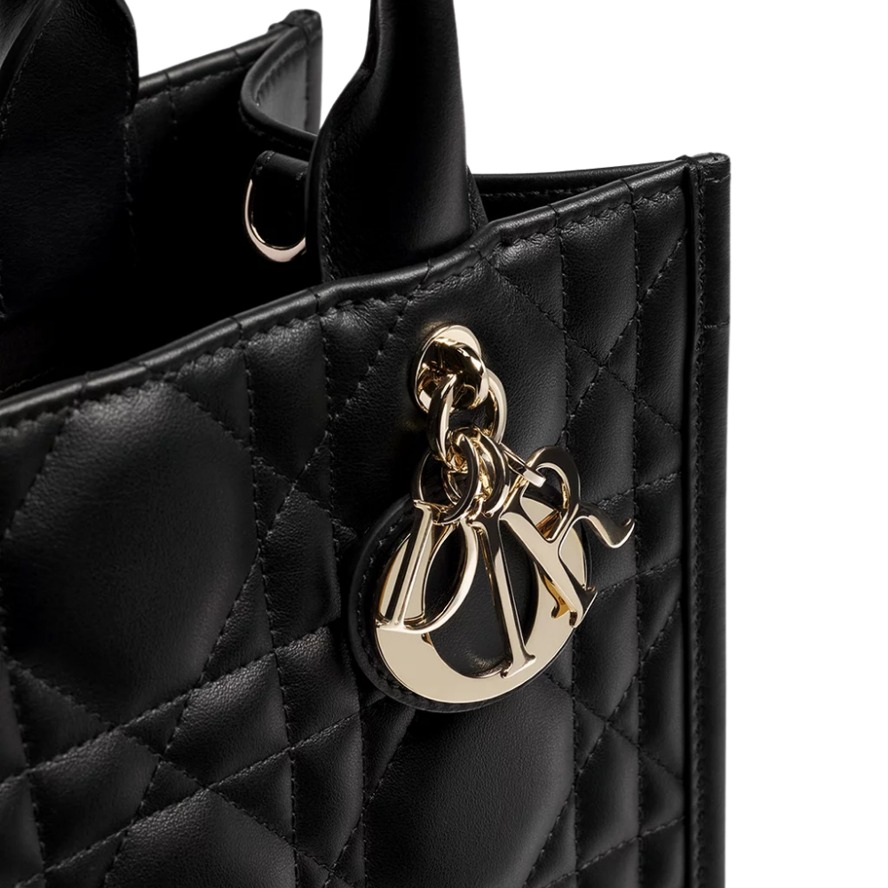 Small Dior Book Tote-M1325OWHP_M900 - Image 4