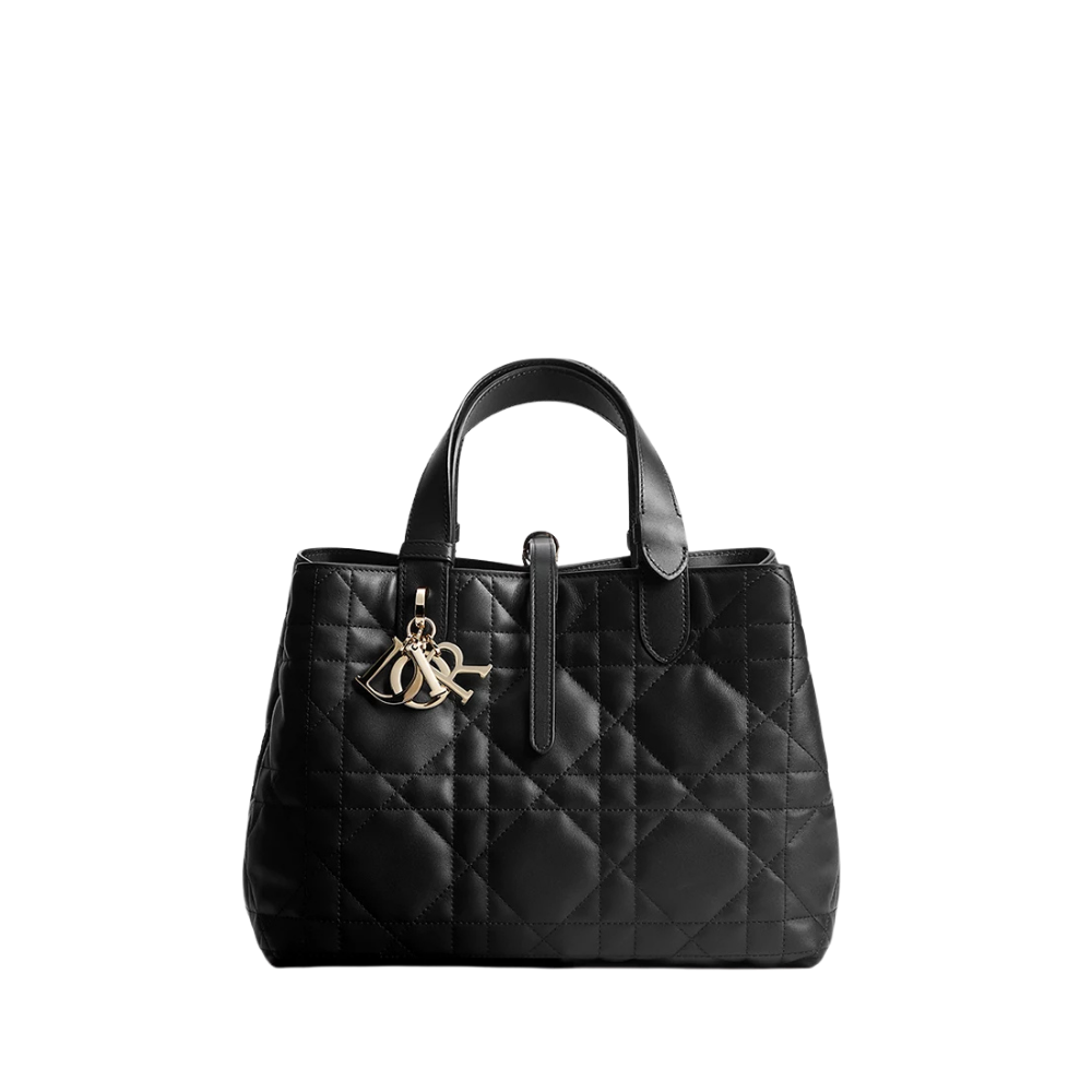 Medium Dior Toujours Bag-M2821OSNW_M900