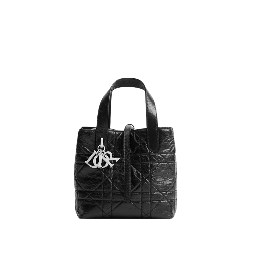 Small Dior Toujours Vertical Tote Bag-M2835PNUC_M900