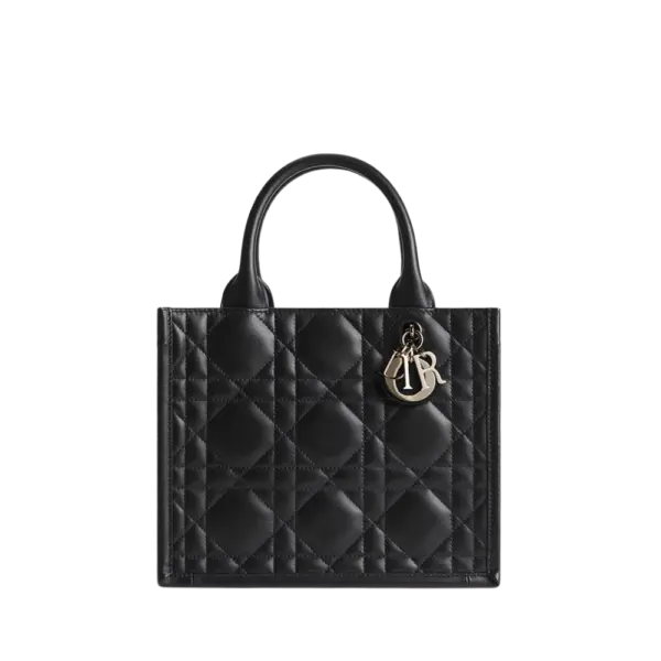 Small Dior Book Tote-M1325OWHP_M900