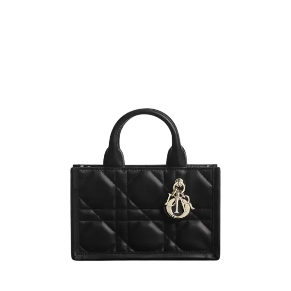 Mini Dior Book Tote-S5573OWHP_M900