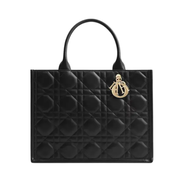 Medium Dior Book Tote-M1324OWHP_M900
