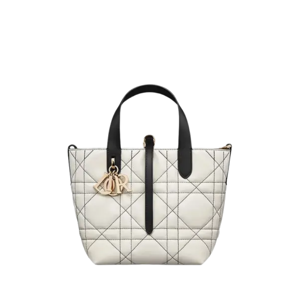 Small Dior Toujours Vertical Tote Bag-M2835OSUV_M041